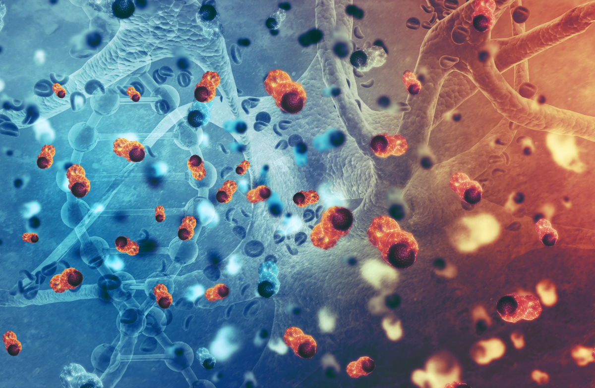 Cancer cells.