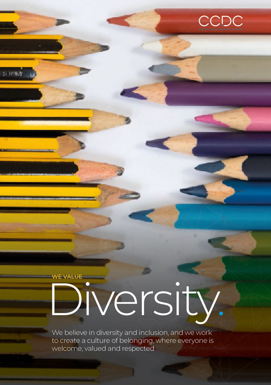 Picture representing companys values towards diversity