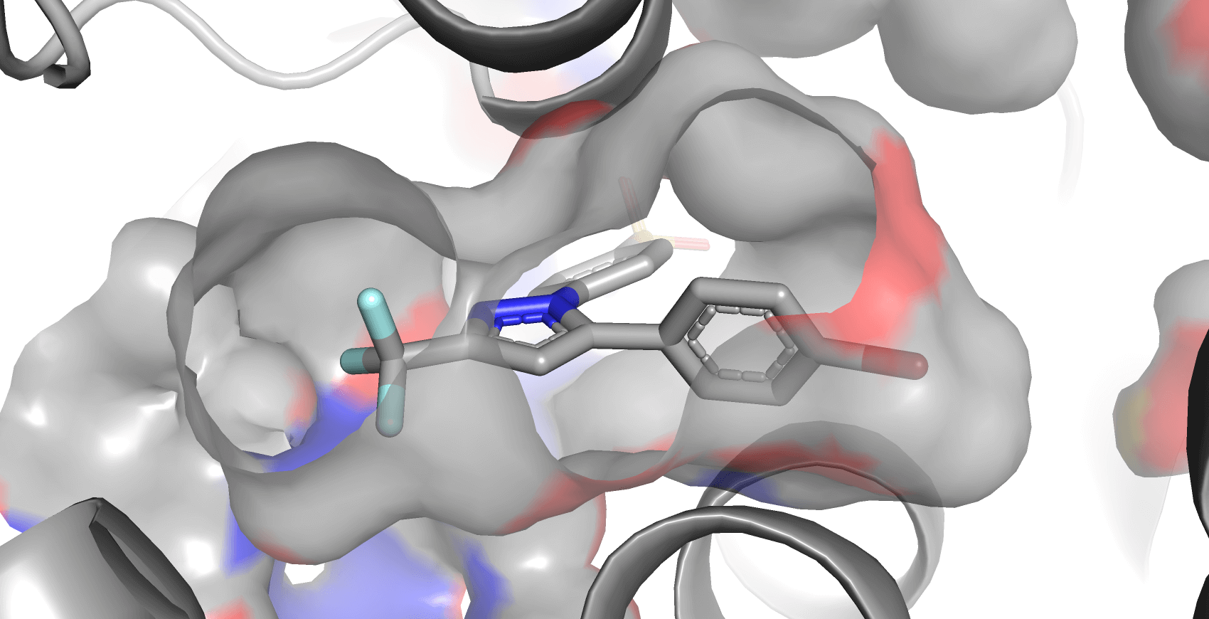 Selective inhibitor SC-558 docking with the 1CX2 structure of COX-2 in GOLD