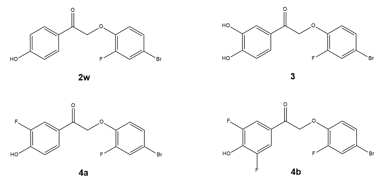2D chemical structure of four inhibitor molecules.