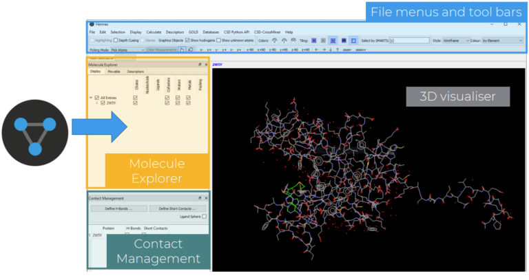 Getting Started with Protein-Ligand Docking Using GOLD | CCDC