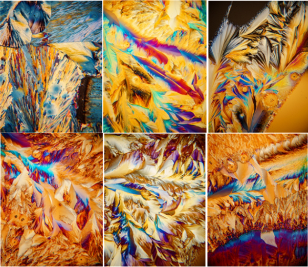 Six photographs taken by students at the workshop, showcasing different colours and texture effects of the growing paracetamol crystals.