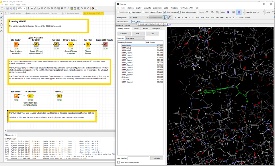 CSD KNIME component collection - GOLD docking example workflow