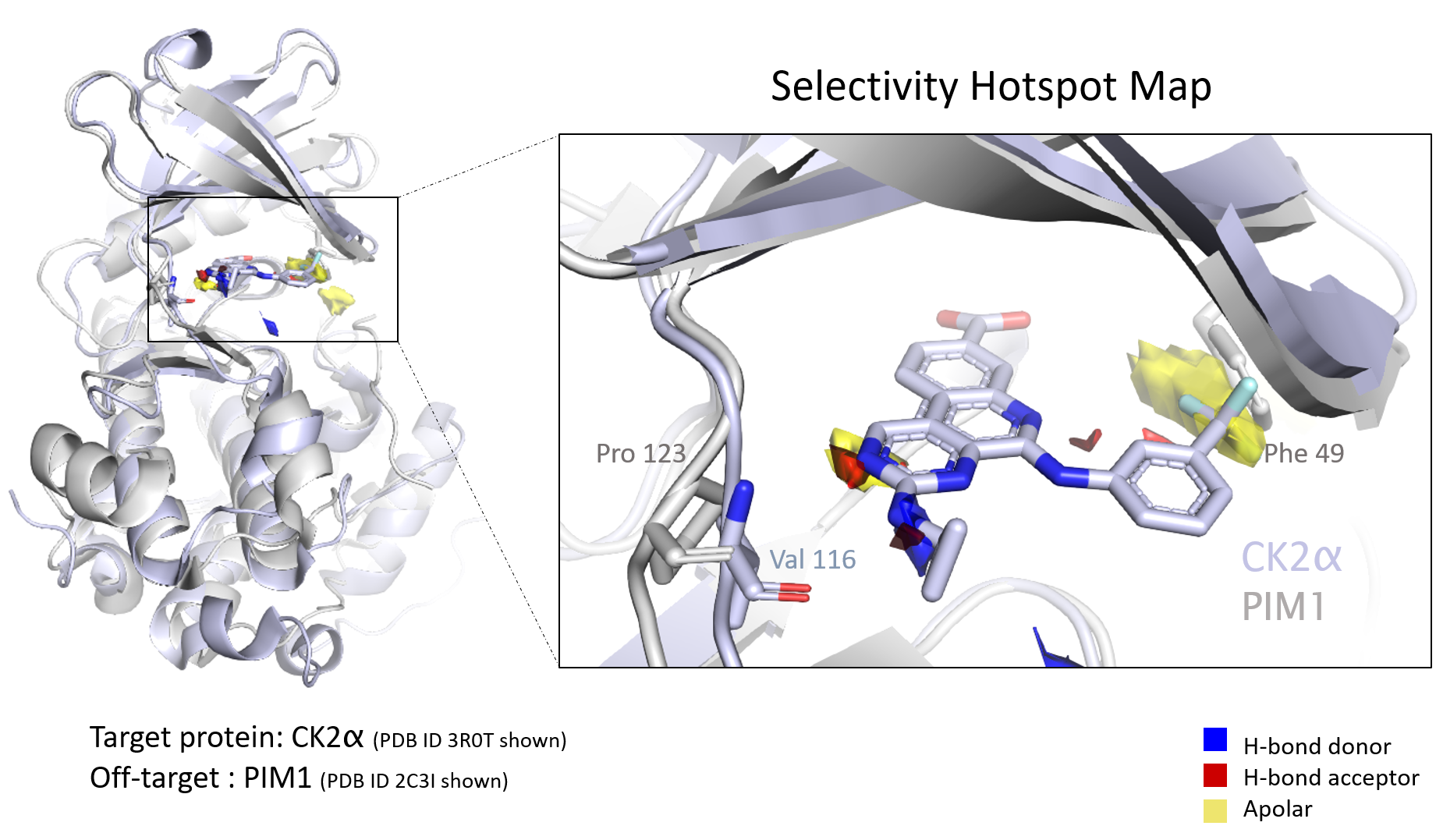 An example of ensemble hotspot mapping, which leverages fragment-based drug design.