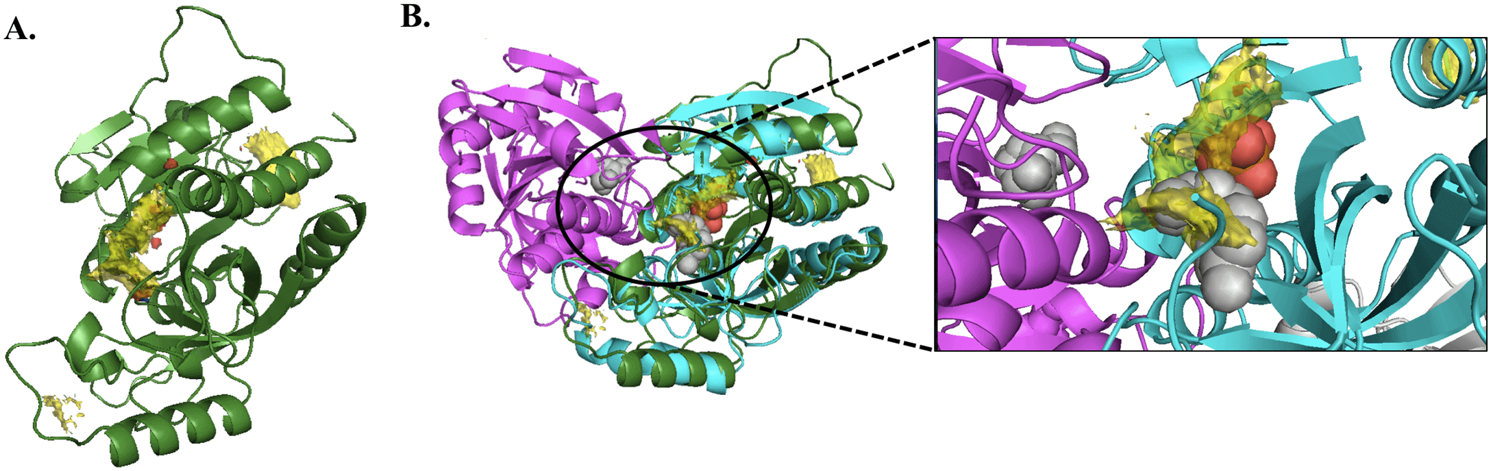 Hotspot mapping technique used to find druggable sites on a target protein