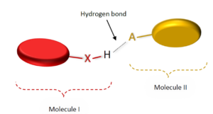 schematic showing hydrogen bonding between two molecules