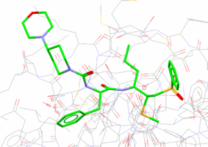 Covalent Docking Enhancements in GOLD and Ligand Overlay in the CSD ...