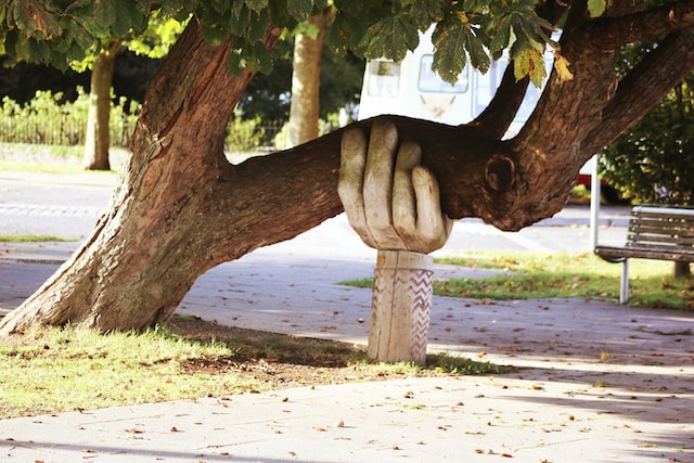 A statue shaped like a hand supporting the trunk of a tree.