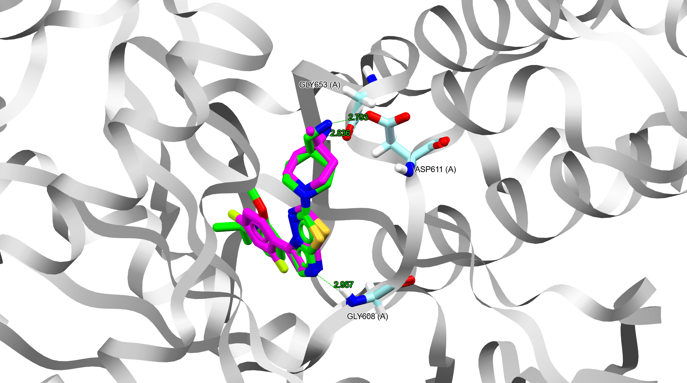 A protein displayed as a ribbon with its binding site represented in capped sticks style, representing an example of GOLD protein-ligand docking.